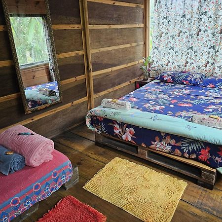 Eco Hostel Organic Life Trindade  Luaran gambar