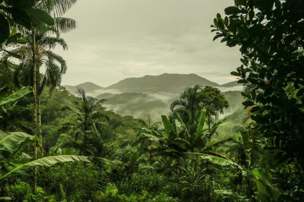 Eco Hostel Organic Life Trindade  Luaran gambar