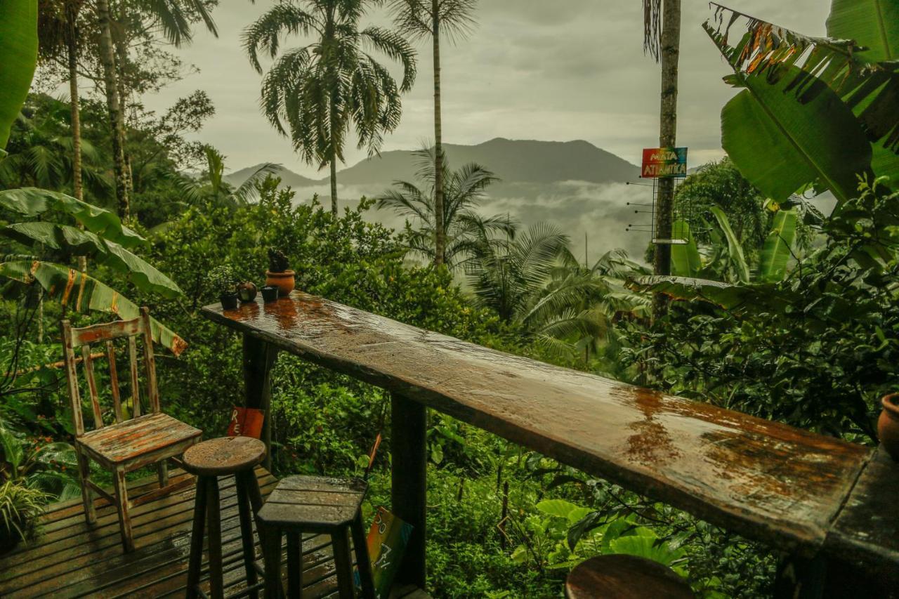 Eco Hostel Organic Life Trindade  Luaran gambar