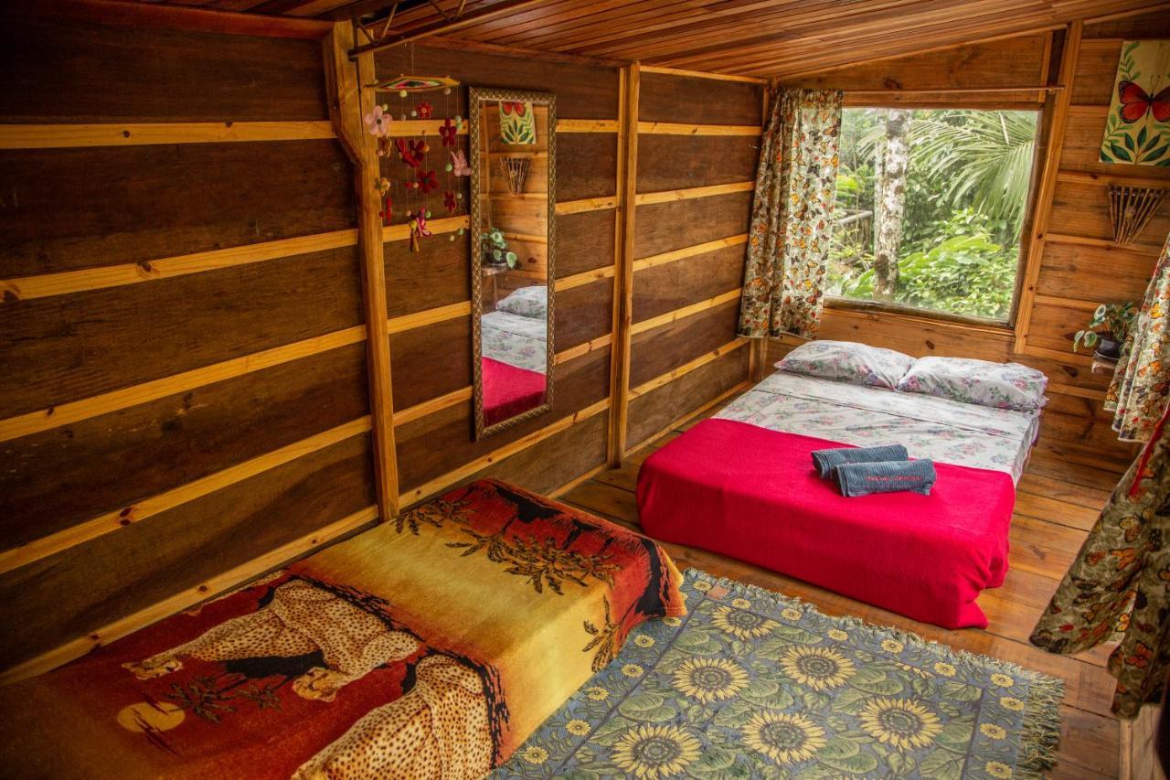 Eco Hostel Organic Life Trindade  Luaran gambar