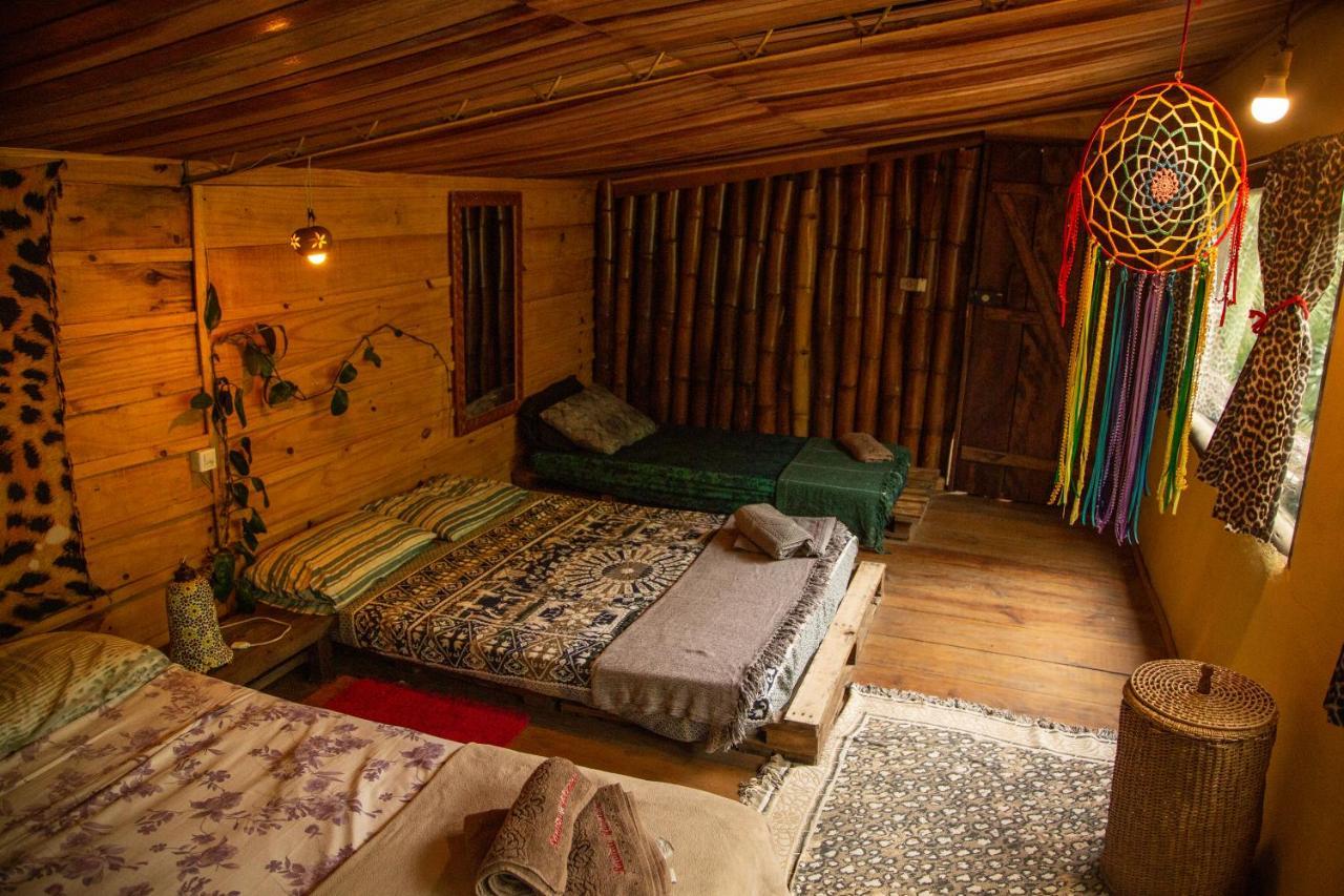 Eco Hostel Organic Life Trindade  Luaran gambar