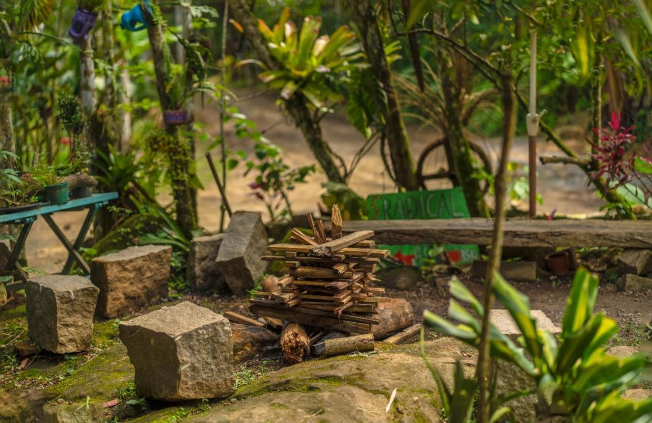 Eco Hostel Organic Life Trindade  Luaran gambar