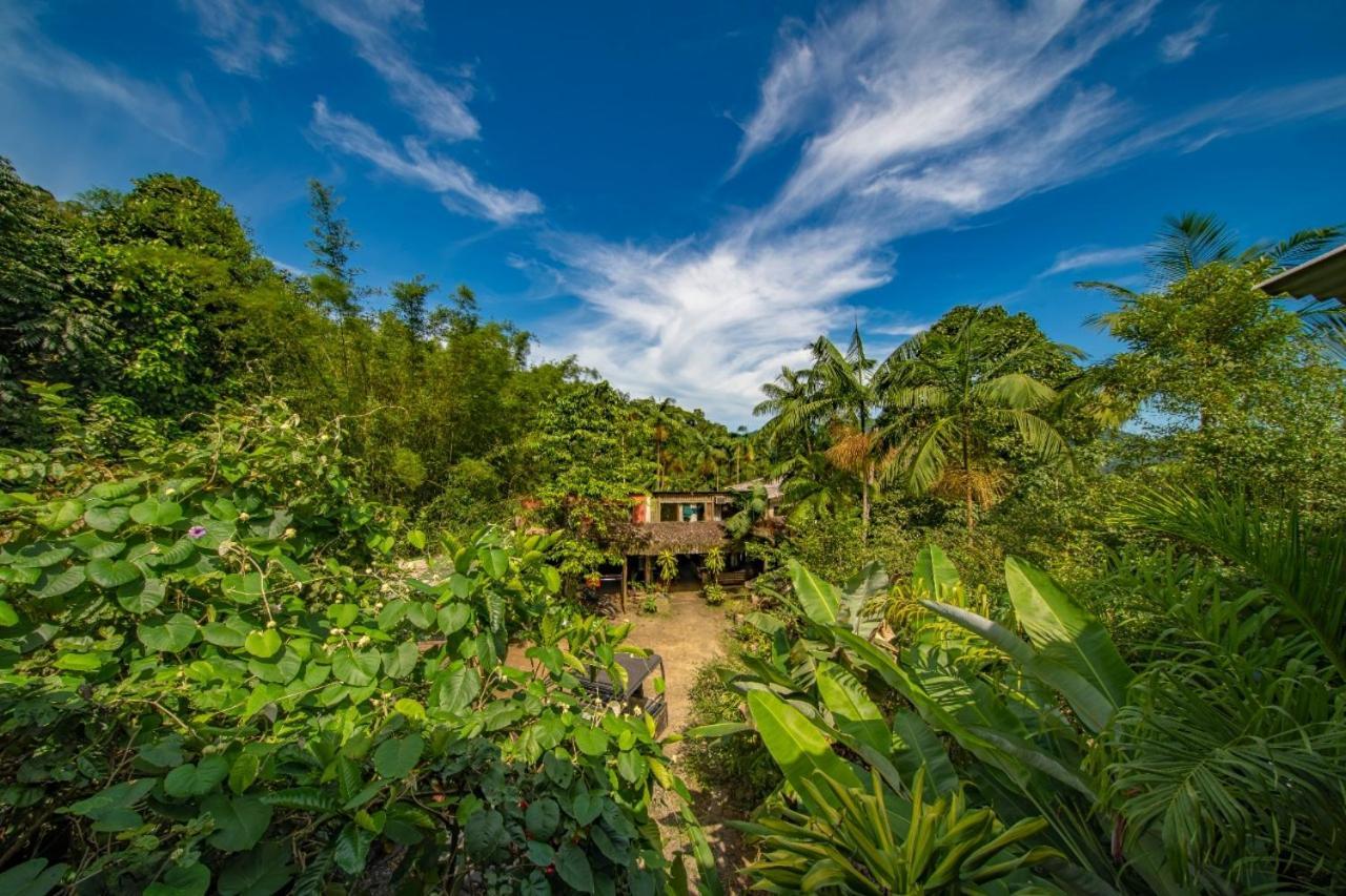 Eco Hostel Organic Life Trindade  Luaran gambar
