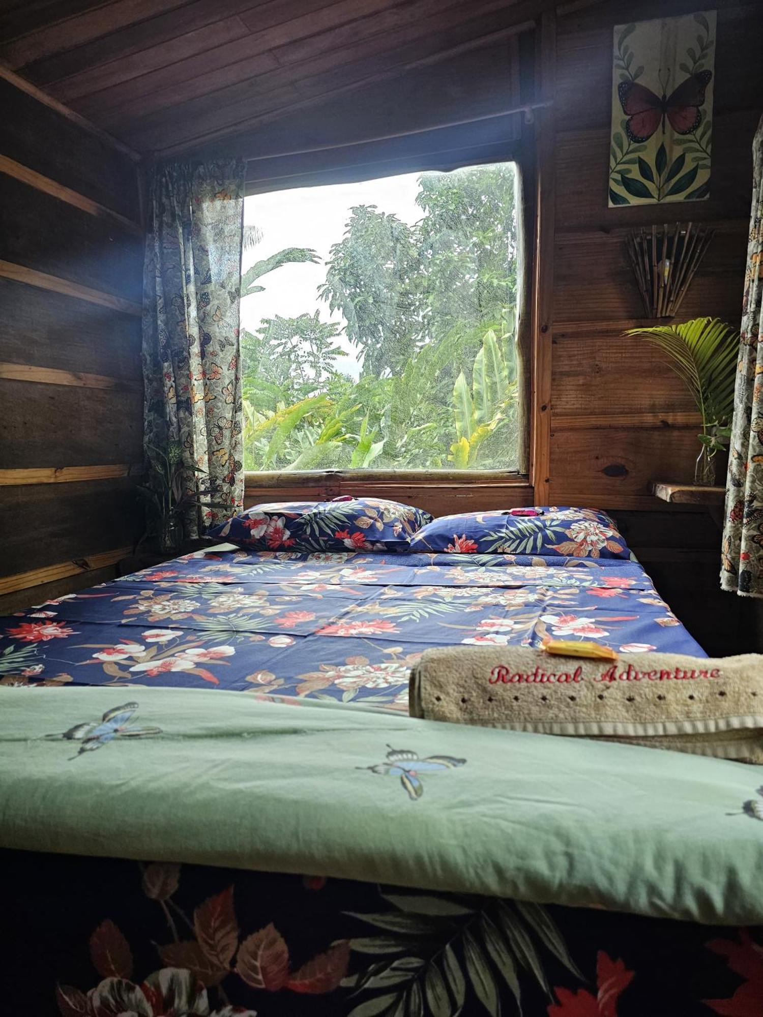 Eco Hostel Organic Life Trindade  Luaran gambar