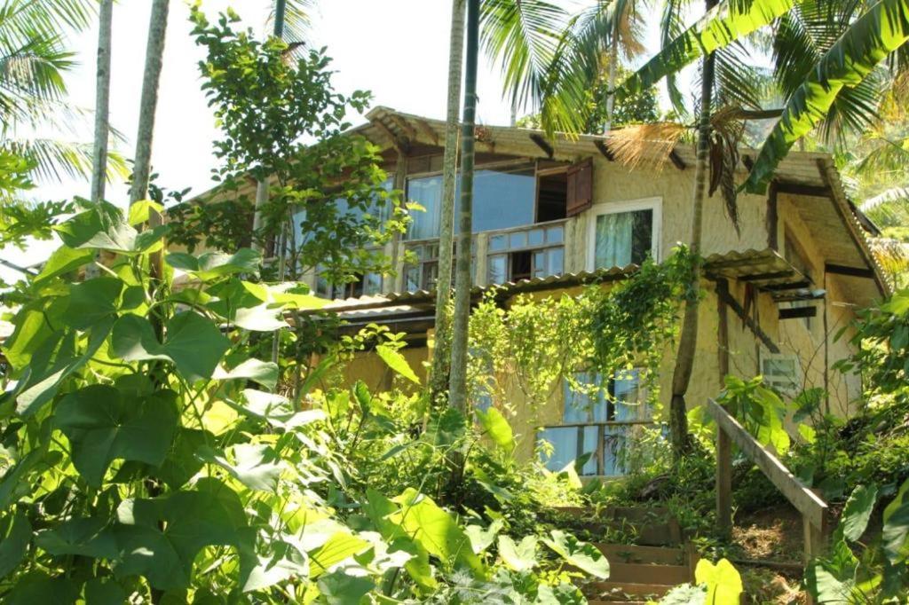 Eco Hostel Organic Life Trindade  Luaran gambar